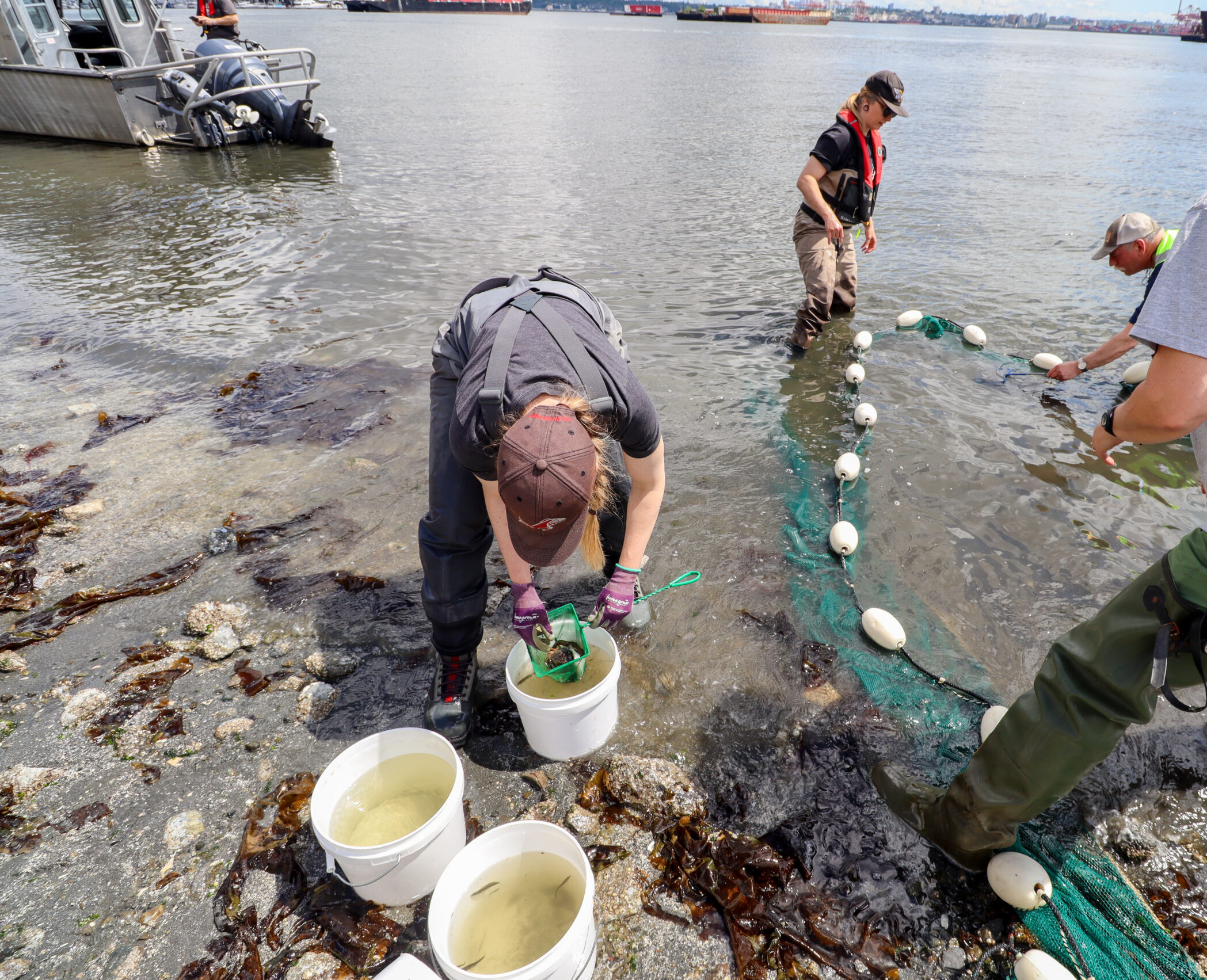 Where Creek Meets Classroom: Seaspan Supports Coho Society’s Educational Programming at MacKay Creek Estuary