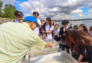 Group of several grade 11 high school students and a science teacher point at a container filled halfway with sea water. Within are some small juvenile Coho salmon that they are studying as part of an educational opportunity at MacKay Creek organized by the Coho society. 