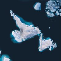 Sea ice in the shape of Newfoundland and Labrador